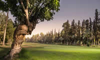 royal golf club